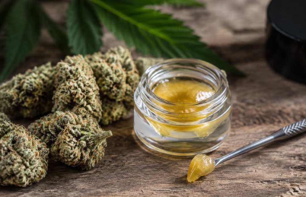 Live resin : définition, extraction, effets et législation en France