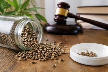 Banque de graine weed : critères de qualité et cadre légal en France