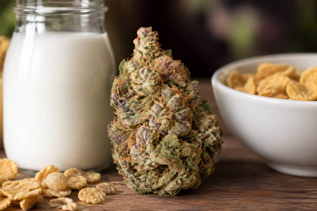 Cereal milk : profil aromatique et caractéristiques de cette variété de cannabis